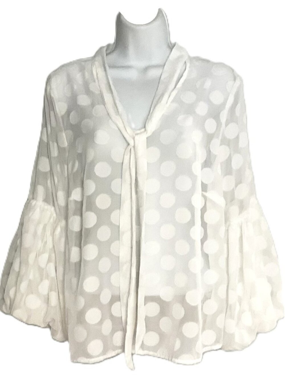 Ups & Downs Polka Dot Sheer Tie-Neck Blouse Size M
